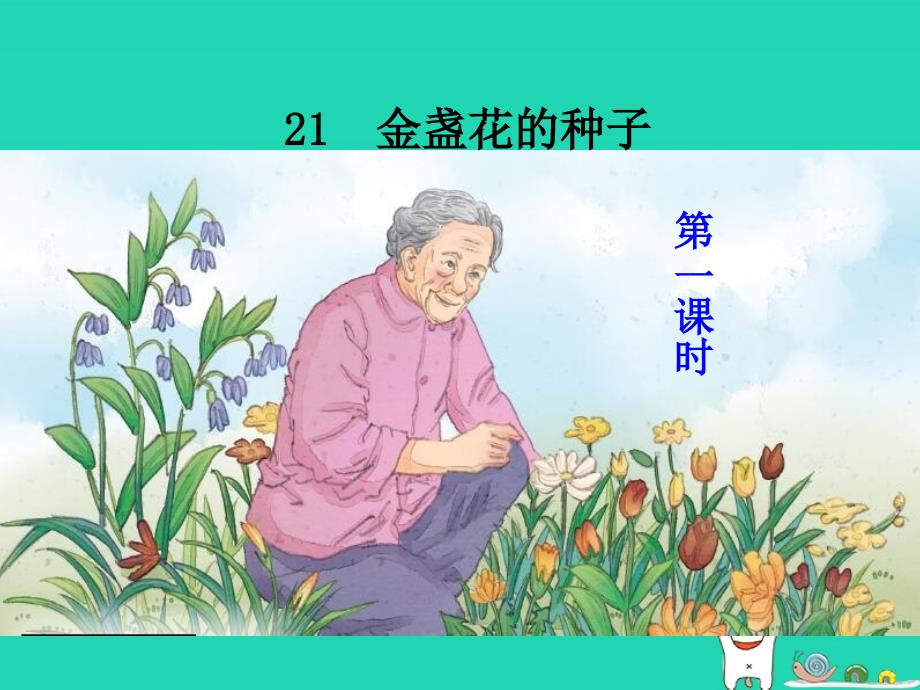 三年级语文上册 第七单元 21 金盏花的种子课件 鄂教版_第1页