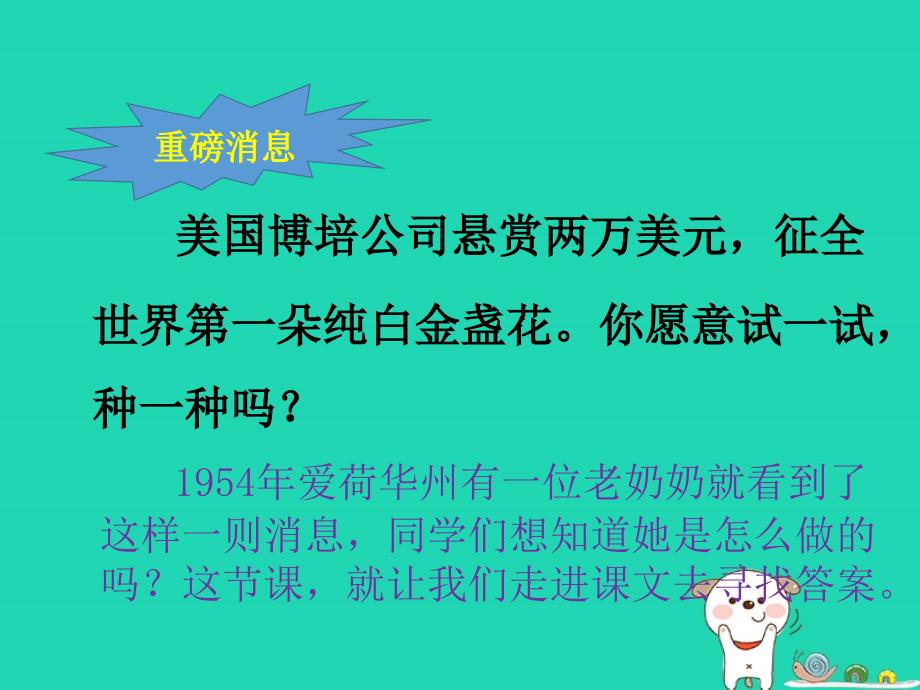 三年级语文上册 第七单元 21 金盏花的种子课件 鄂教版_第3页