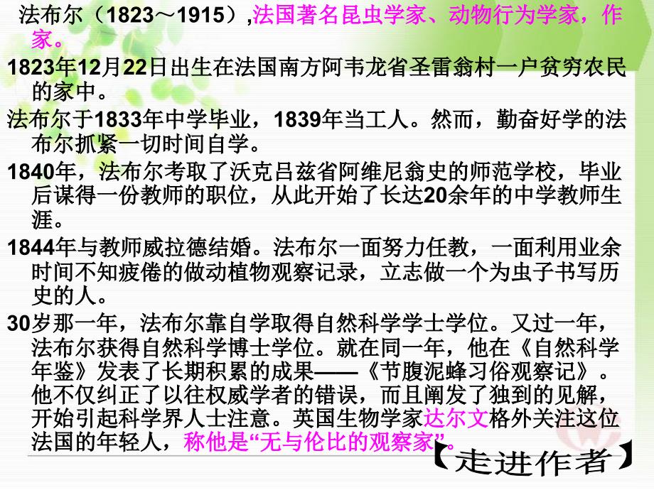 《昆虫记》教学课件共35张-(共35张)_第4页