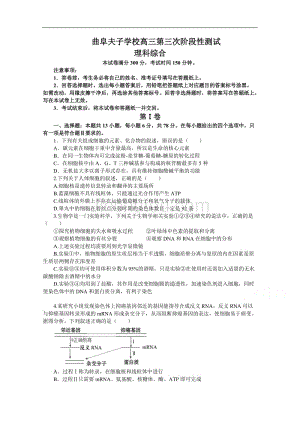 山东省曲阜夫子学校2019届高三上学期11月份阶段性测试理科综合试卷 word版含答案