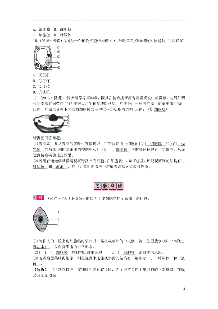 （云南专版）2019届中考生物 教材考点梳理 第3课时 细胞是生命活动的基本单位_第3页