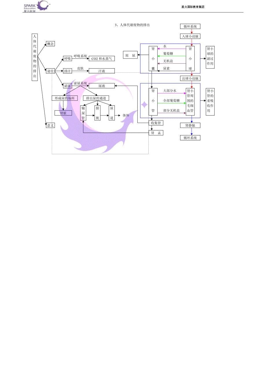 初中生物知识框架图_第5页