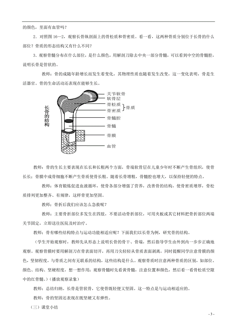 八年级生物上册 6.17.1人体的运动（第1课时）教案 （新版）苏科版_第3页