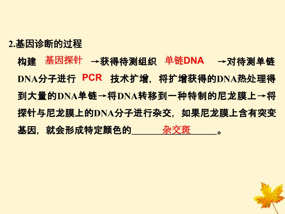 2018版高中生物 第1章 生物科学与健康 1.2 基因诊断与基因治疗课件 新人教版选修2_第3页