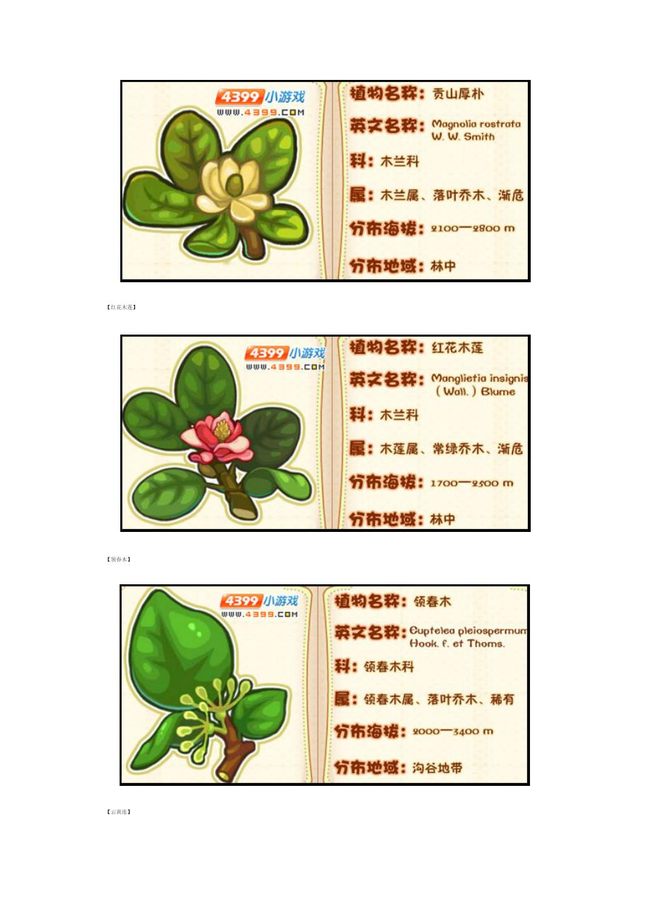 洛克王国莉莉丝和薇薇安的植物图鉴_第2页