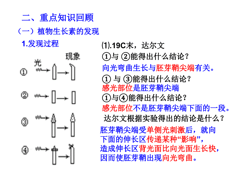 高中生物必修三第三章复习课件_第3页