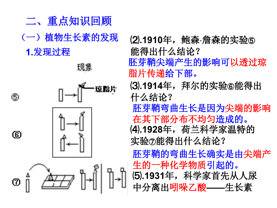 高中生物必修三第三章复习课件_第4页