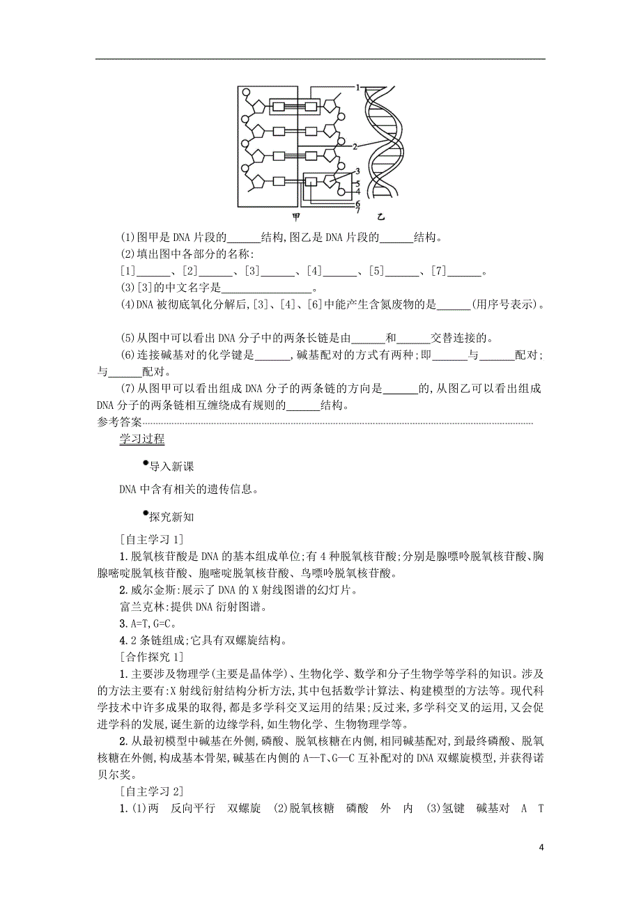 2018-2019学年高中生物 3.2 dna分子的结构学案设计 新人教版必修2_第4页