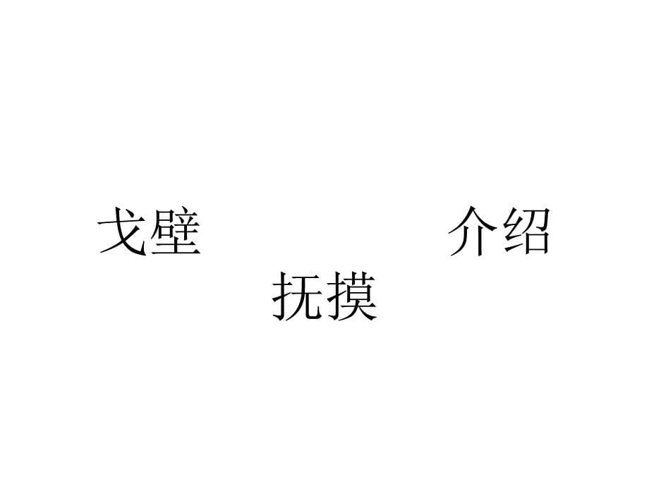 白杨(第一课时)_第5页