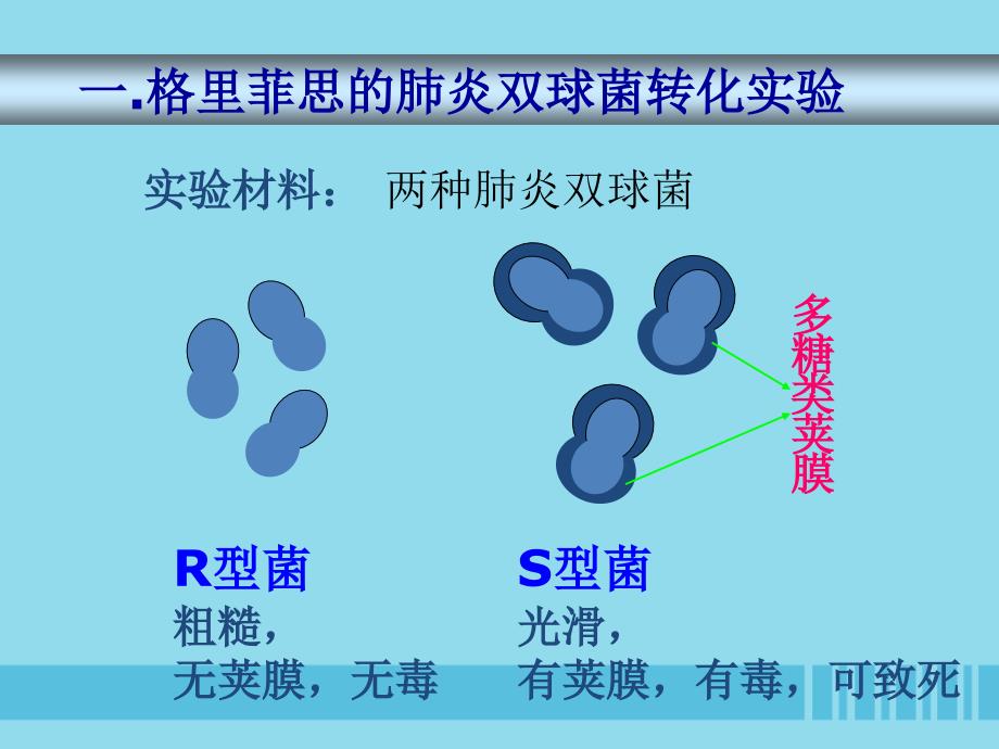 2018-2019学年高中生物 第3章 第1节 dna是主要的遗传物质（一）课件 新人教版必修2_第4页