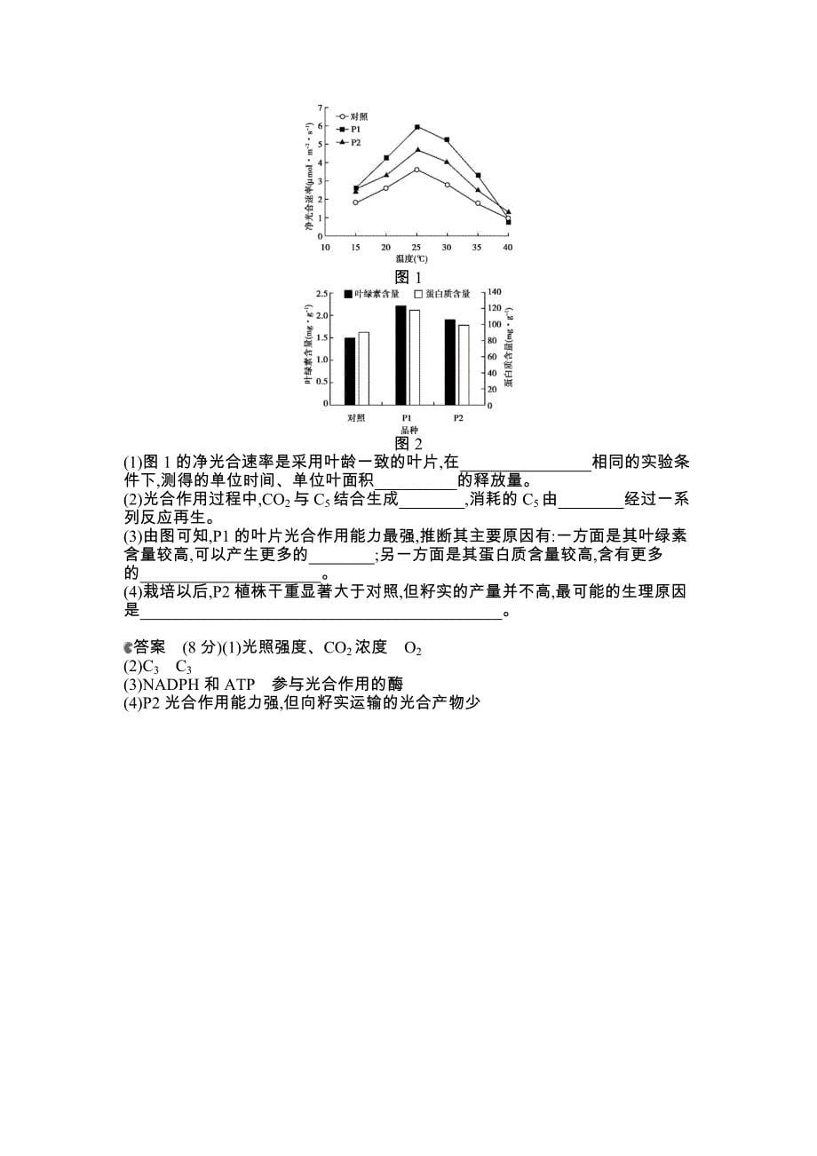 生物高考题分类汇编——专题6 光合作用_第5页