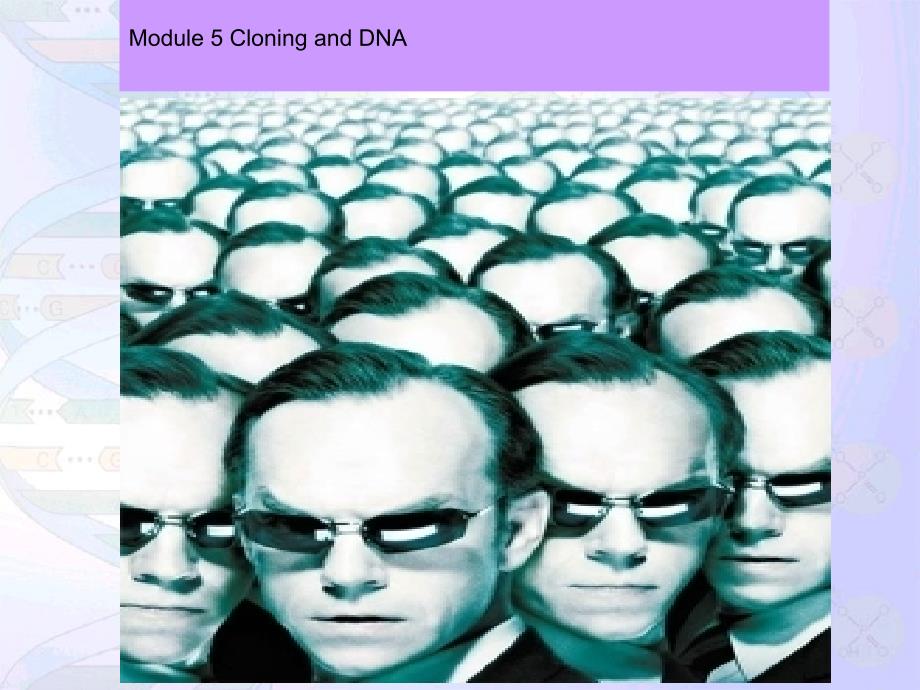 b6m5cloning_and_dna_第2页