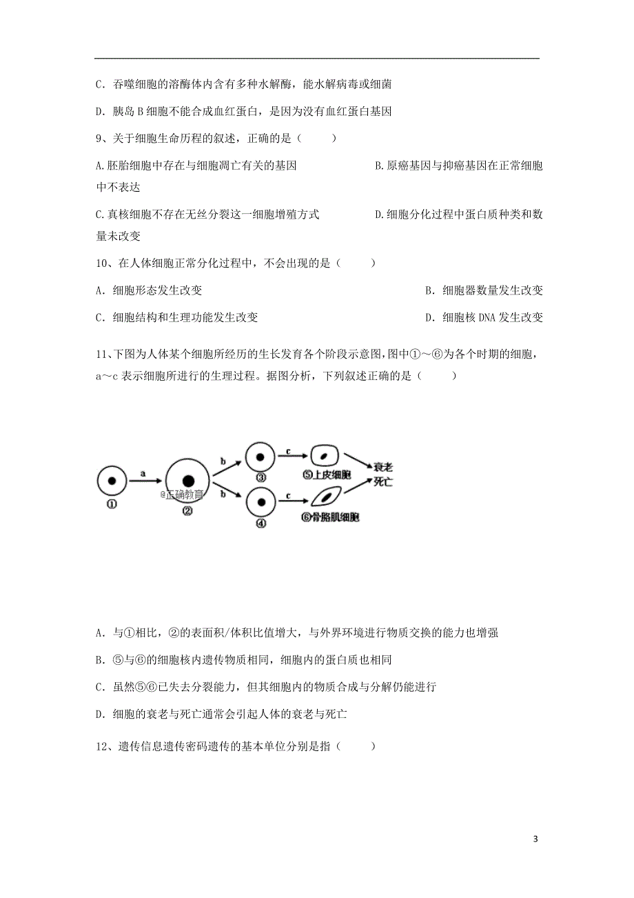 云南省茚旺高级中学2018-2019学年高二生物10月月考试题_第3页