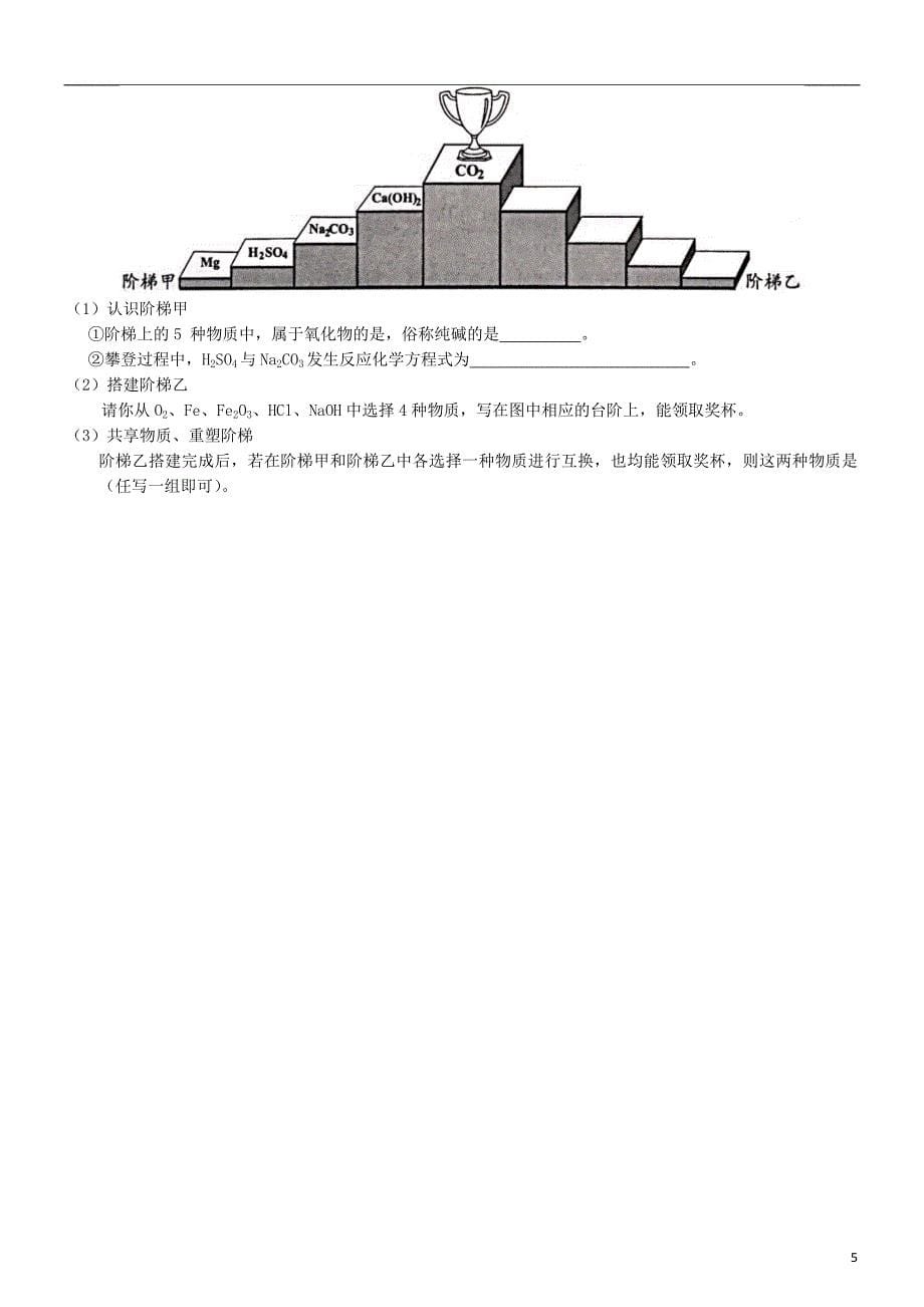 中考化学专题复习 身边的化学物质习题（无答案）_第5页