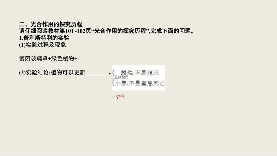 2018-2019学年高一生物人教版必修1课件：第5章 第4节 能量之源—光与光合作用 细胞的能量供应和利用 第2课时_第5页