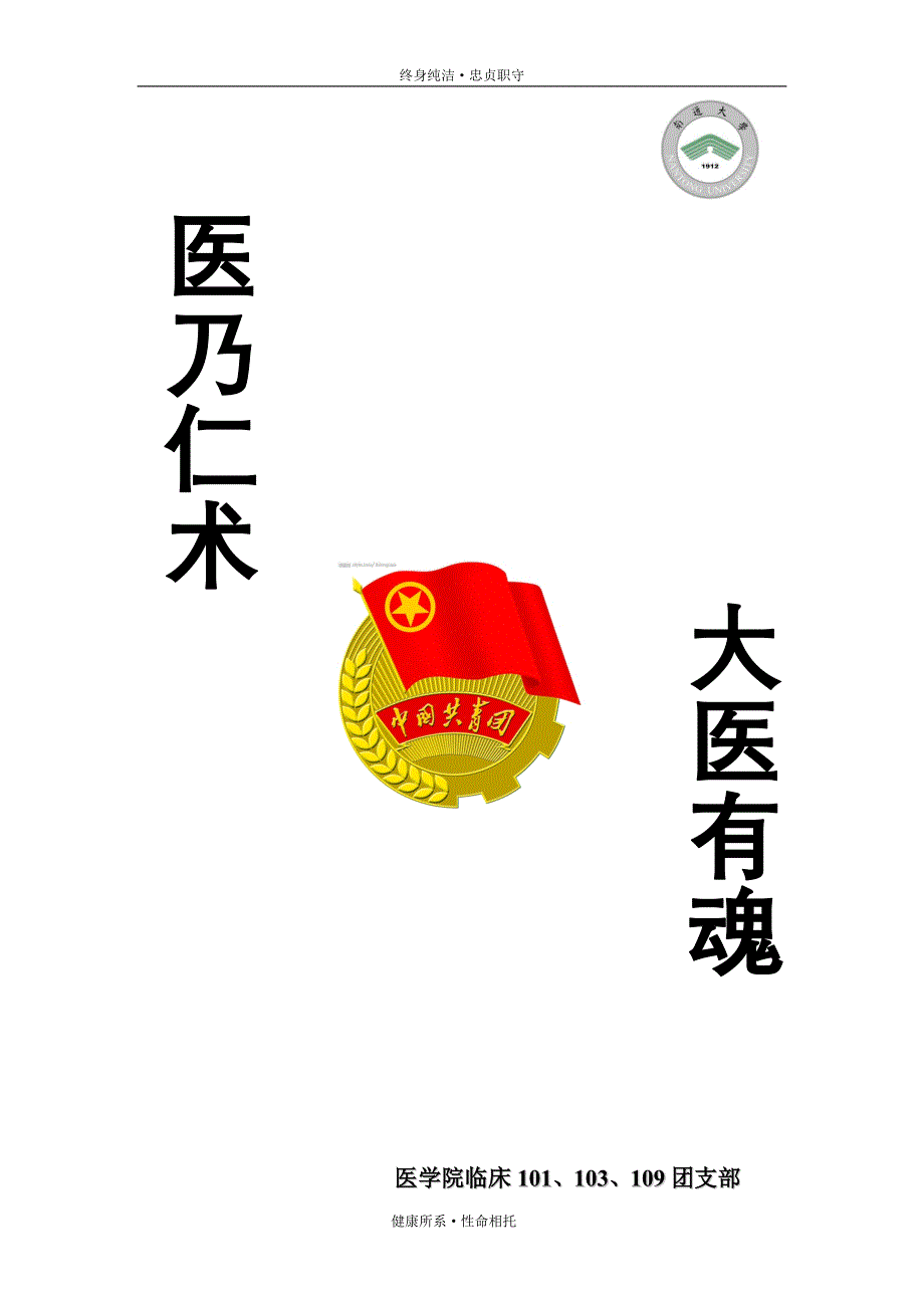 医乃仁术大医有魂团日活动策划及总结_第1页