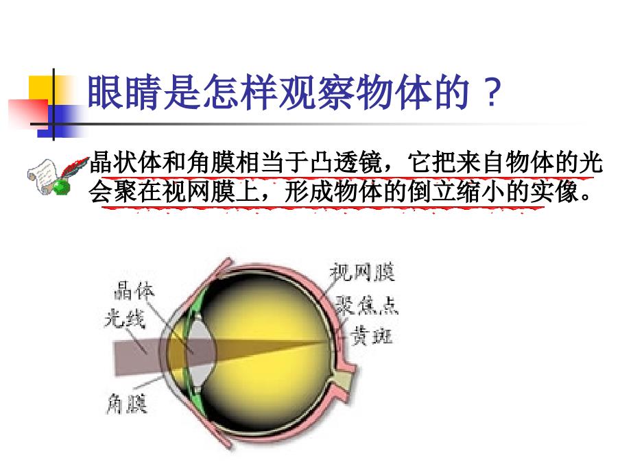 a9理上册第三章第四节眼睛和眼镜+ppt课件_第4页