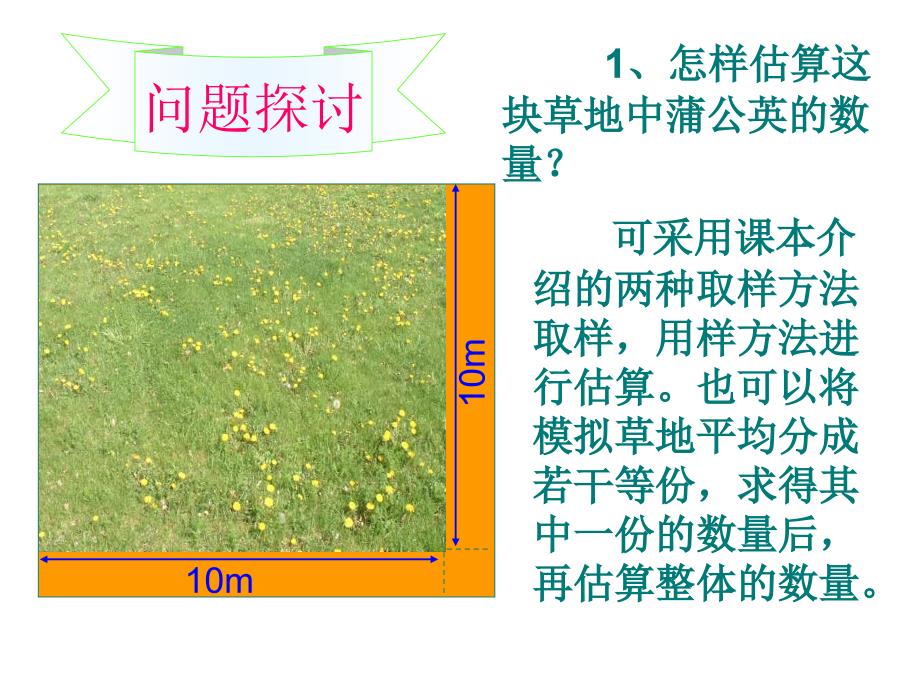 生物学③必修4.1《种群的特征》ppt课件_第3页