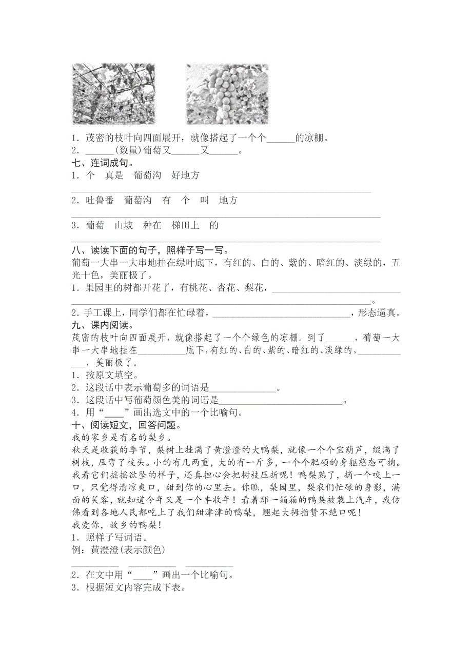 新人教版二年级语文上册《11葡萄沟》课时检测_第2页