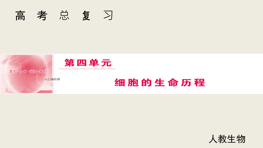 2019届高考生物人教版一轮复习课件：第4单元 第11讲 细胞的增殖_第1页