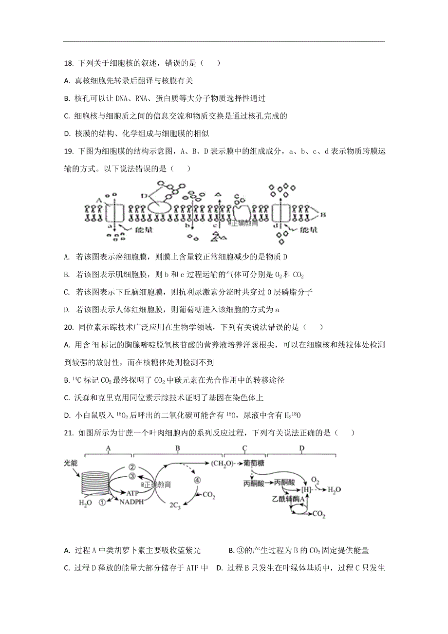 内蒙古鄂尔多斯市2019届高三上学期期中考试生物试卷 word版含答案_第4页