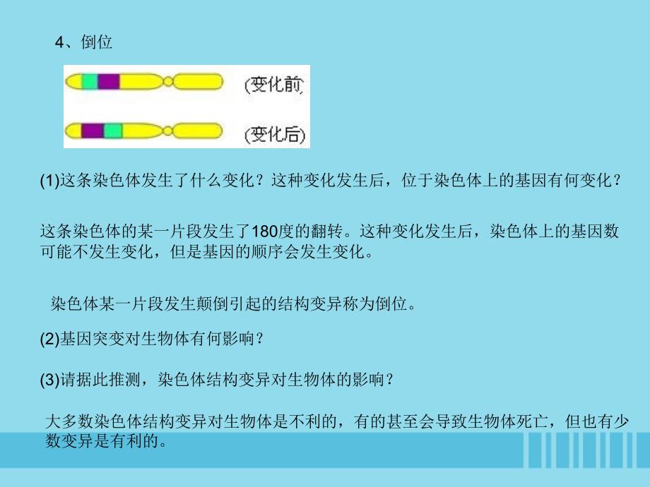 2018-2019学年高中生物 第5章 第2节 染色体变异 设计三 染色体变异课件 新人教版必修2_第4页