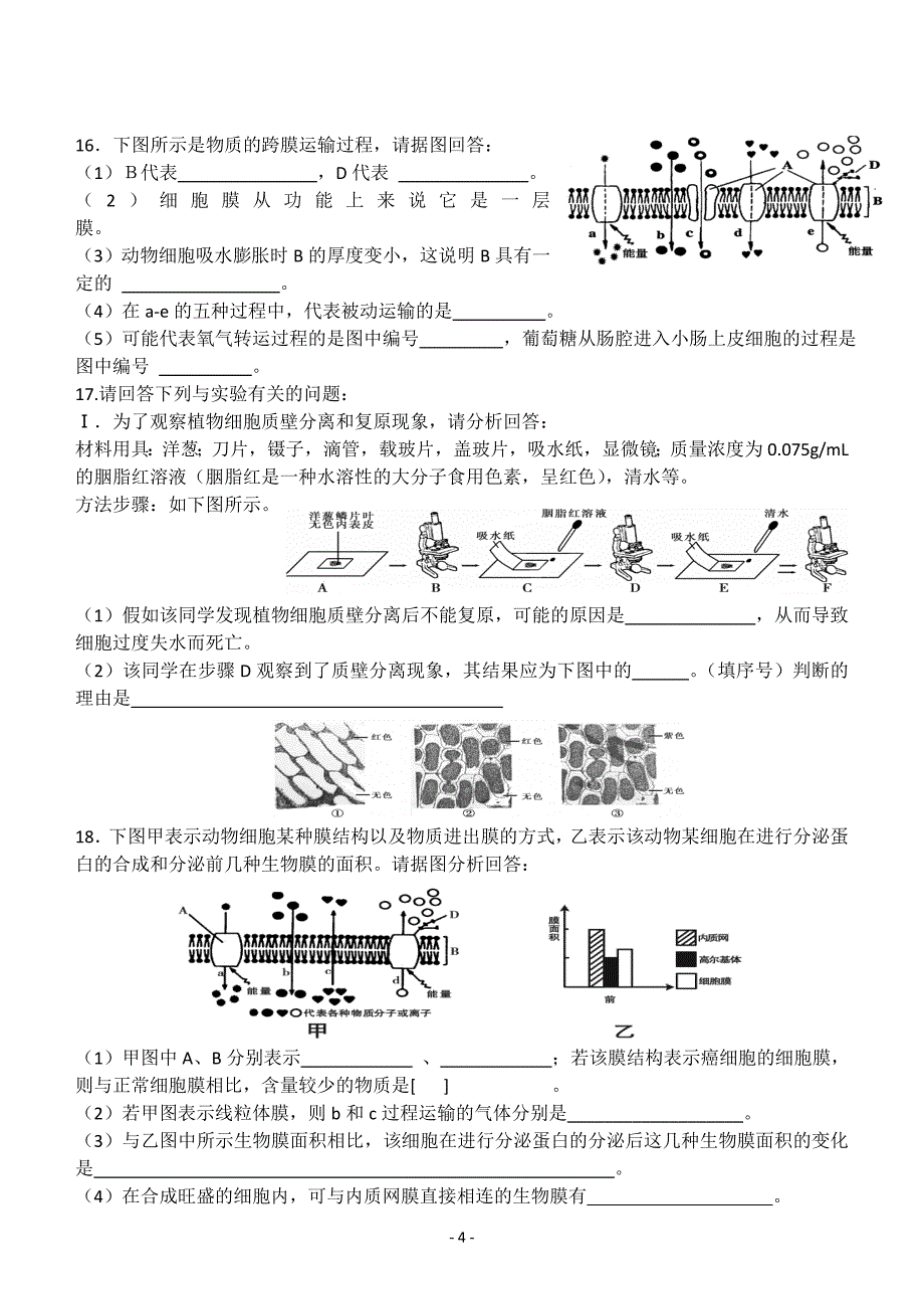 物质跨膜运输实例、方式(带答案)l_2[1]_第4页