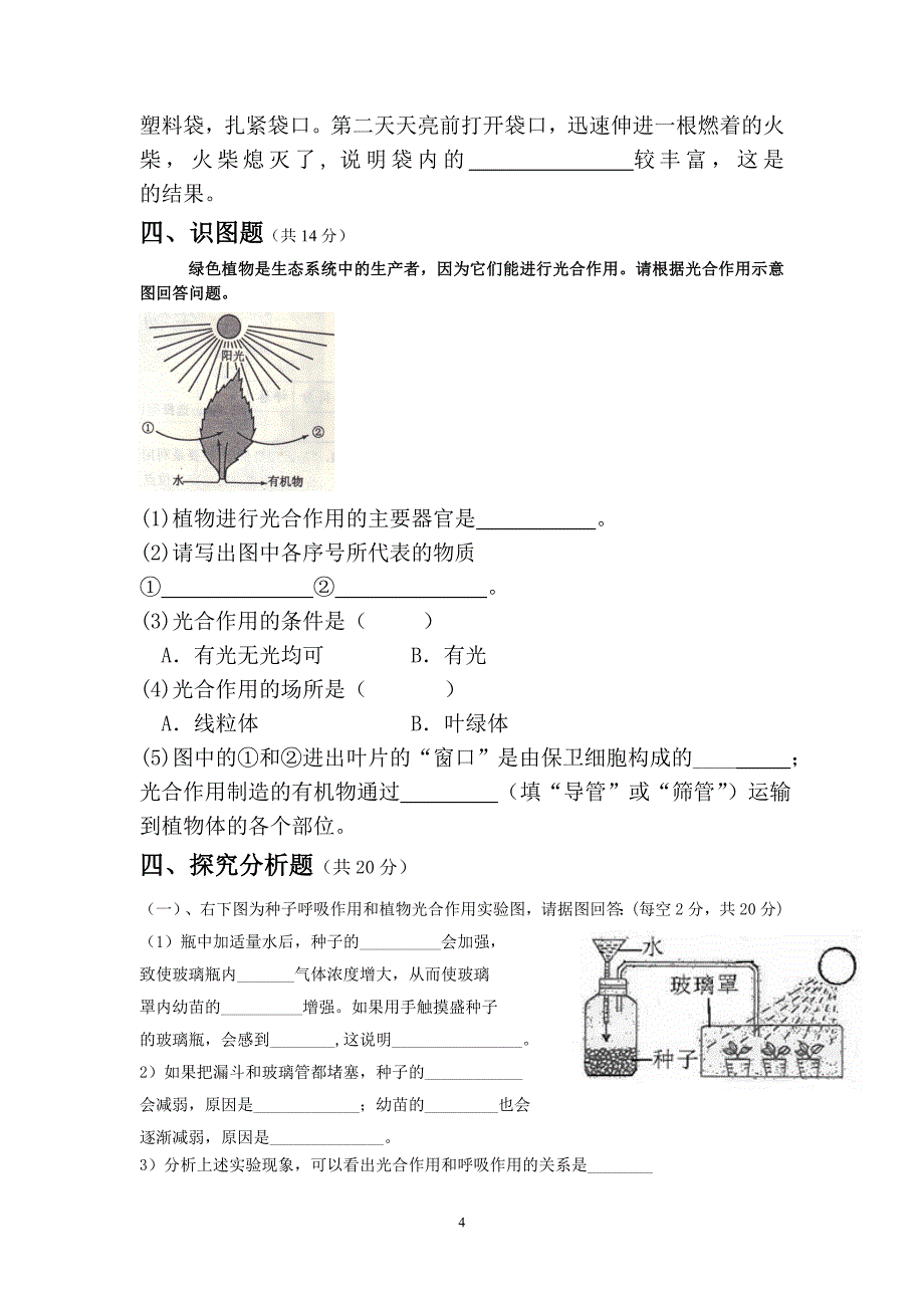 初中生物七年级试卷_第4页