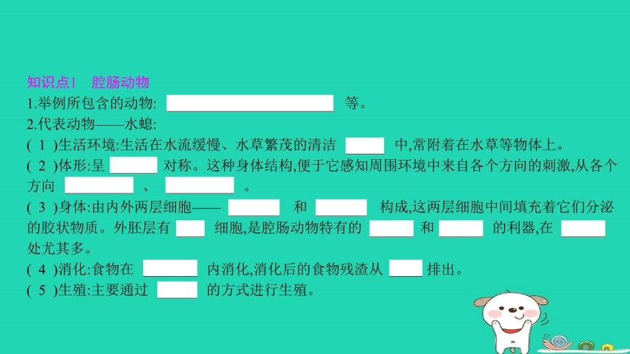 2018年秋八年级生物上册 5.1.1 腔肠动物和扁形动物课件 （新版）新人教版_第3页