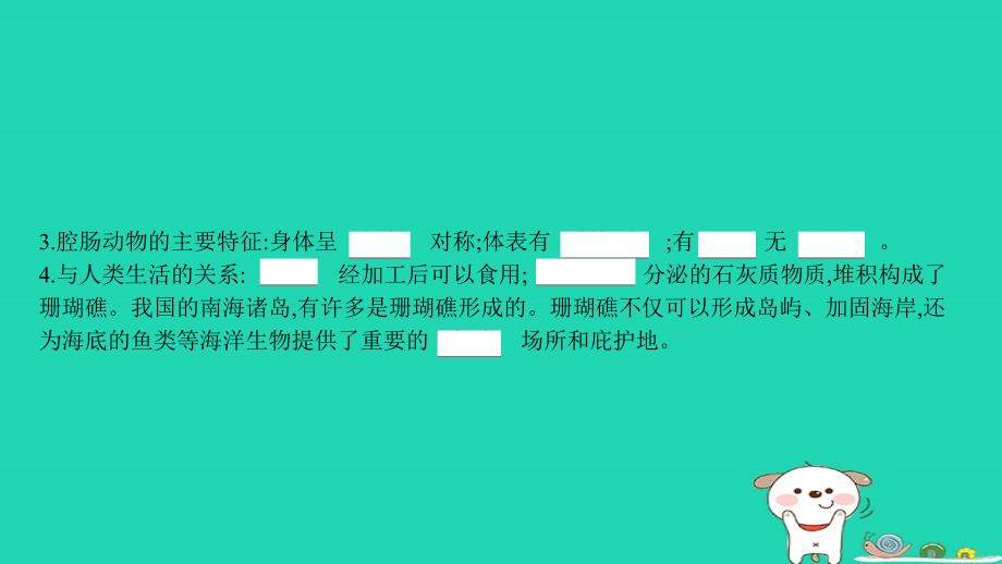 2018年秋八年级生物上册 5.1.1 腔肠动物和扁形动物课件 （新版）新人教版_第4页