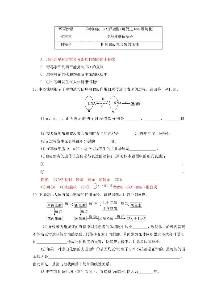 2013届高三生物一轮复习 课时训练 遗传与进化 4.2 基因对性状的控制_第5页