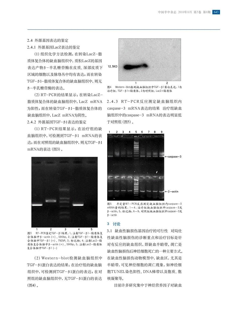 脂质体介导转化生长因子-β1 治疗缺血性脑损伤的实验研究_第5页