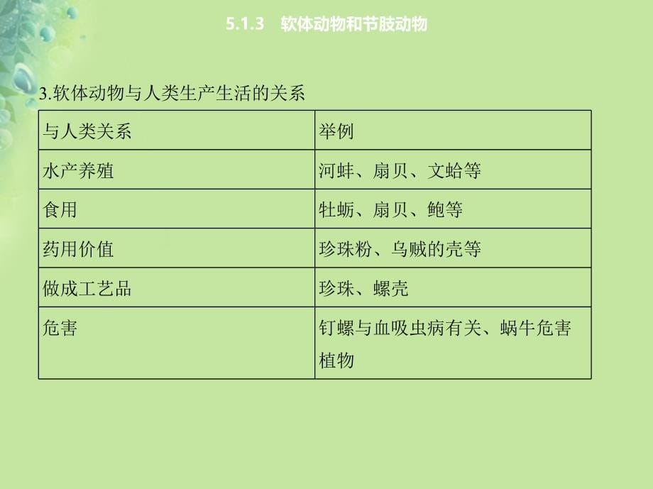 八年级生物上册 5.1.3软体动物和节肢动物课件 （新版）新人教版_第5页