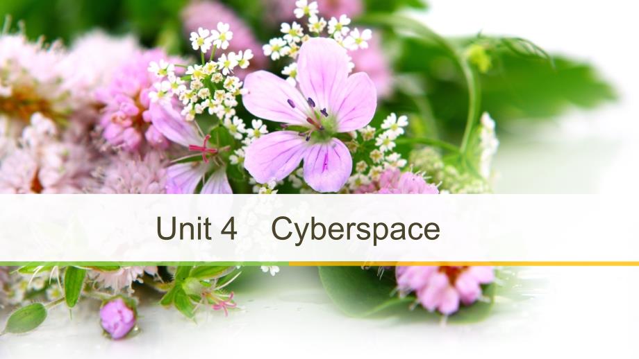 2018-2019版高中英语 unit 4 cyberspace period four lesson 4 virtual tourism课件 北师大版必修2_第1页