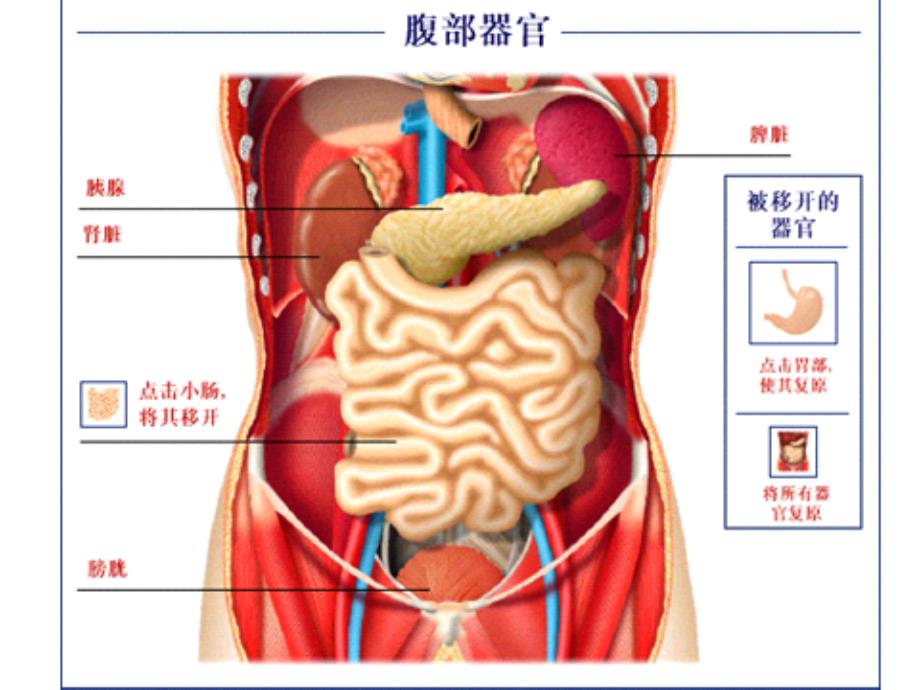 掌握糖尿病知识,收获健康自信_第3页