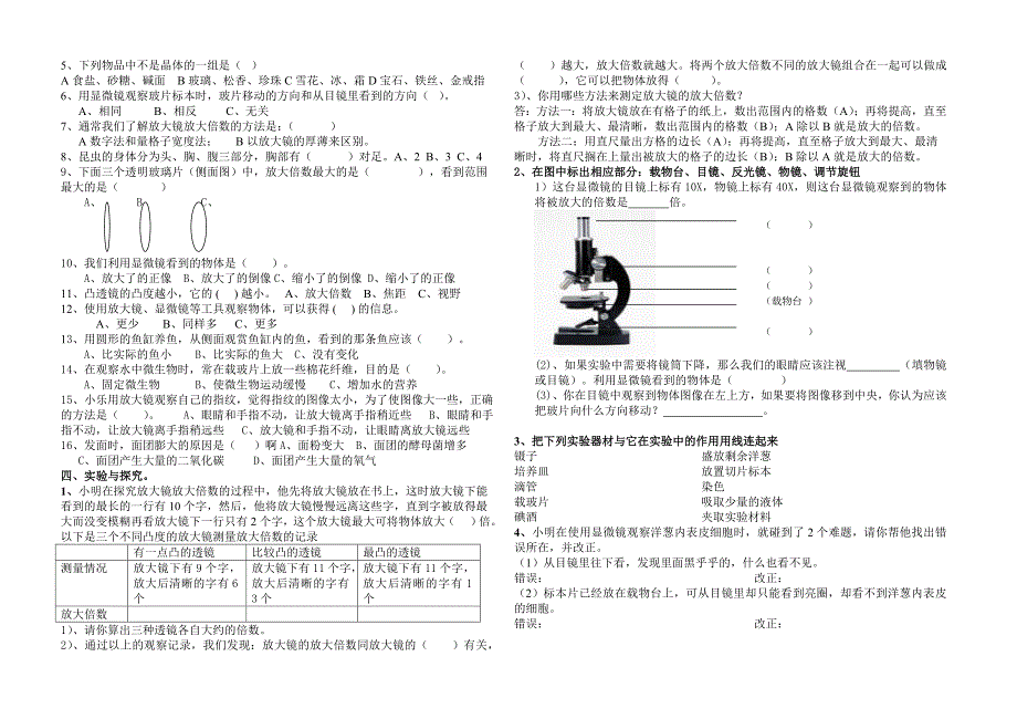 新泽小学六科下1.微小世界(正稿)._第2页