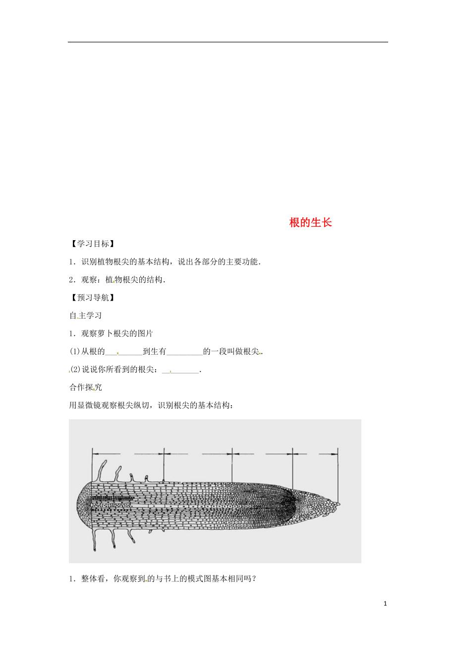 2018秋八年级生物上册 3.2.1根的生长学案（无答案）（新版）冀教版_第1页