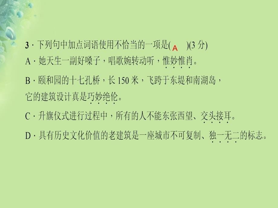 2018年秋八年级语文上册 第五单元 17 中国石拱桥习题课件 新人教版_第5页