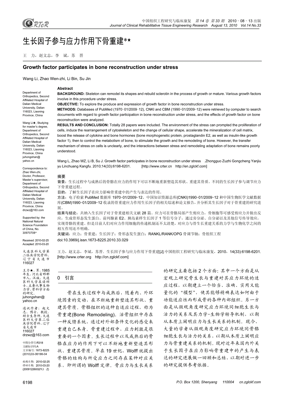 生长因子参与应力作用下骨重建_第1页