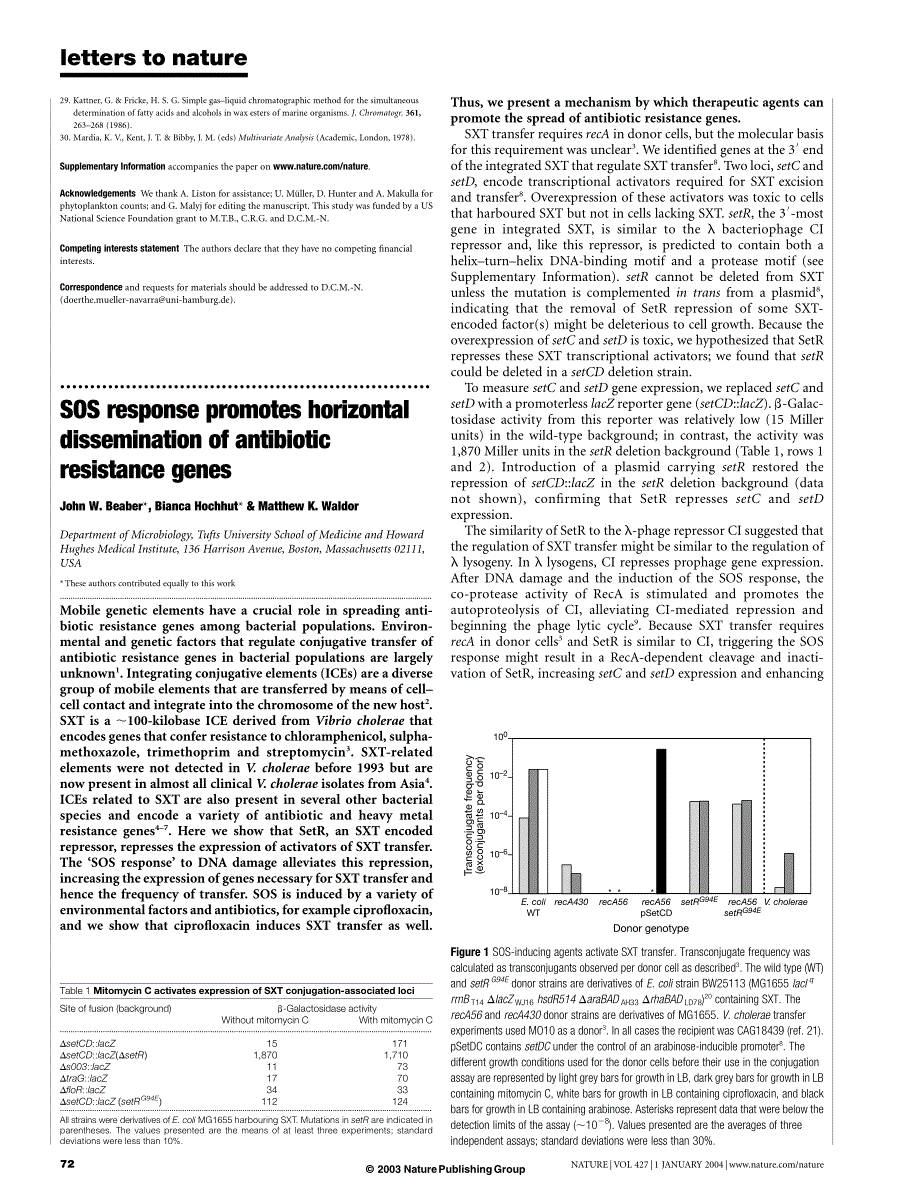 细菌的sos反应促进了耐药基因的水平传播(nature)_第1页