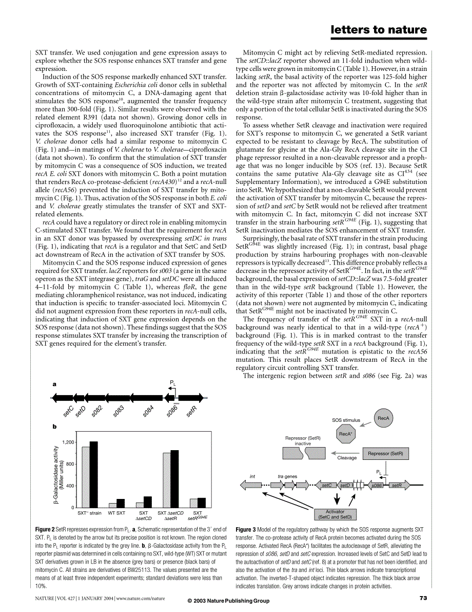 细菌的sos反应促进了耐药基因的水平传播(nature)_第2页