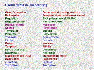 2001bilingual分子生物学8
