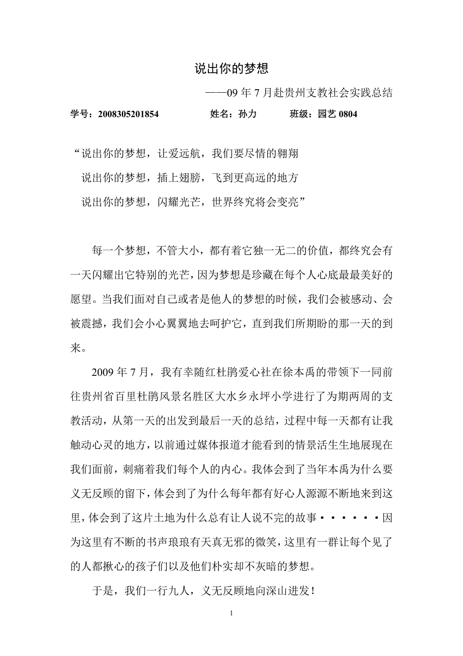 贵州支教实践报告_第1页