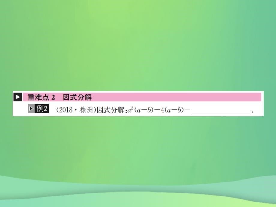 （全国通用版）2019年中考数学复习 第一单元 数与式 第2讲 整式及因式分解课件_第5页