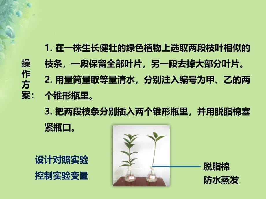 2018年七年级生物上册 2.1.2《绿色植物的蒸腾作用》课件 （新版）济南版_第5页