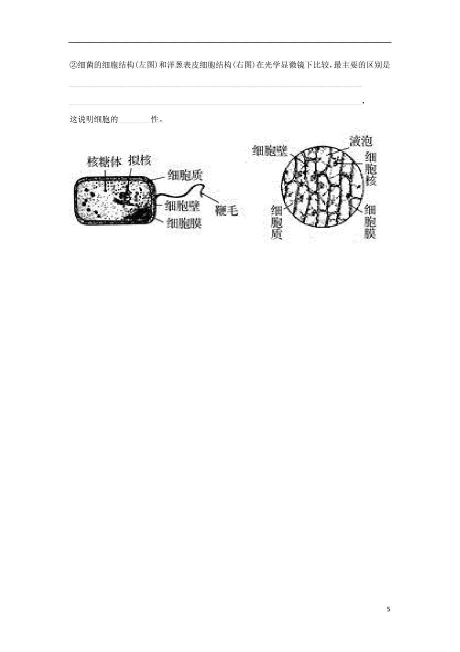 四川省成都市高中生物 第一章 走近细胞 1.1 从生物圈到细胞限时练（无答案）新人教版必修1_第5页