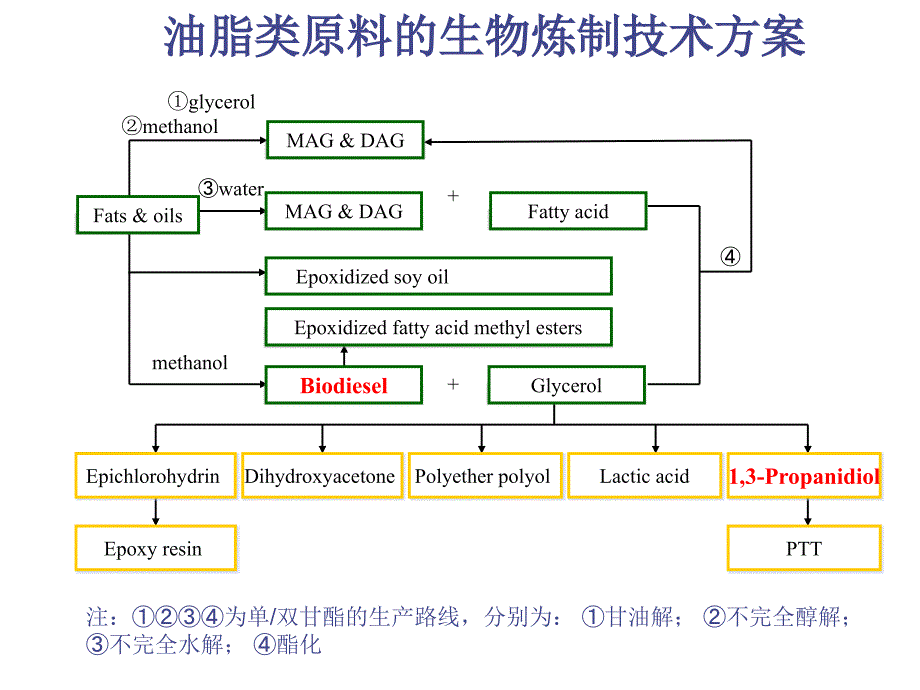 油脂类原料的生物炼制技术1_第2页