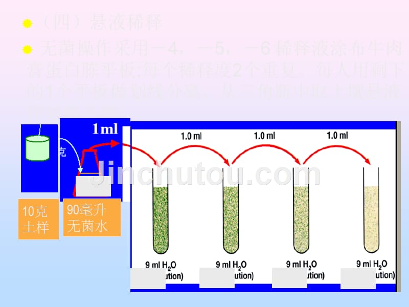 实验五   土壤中微生物的分离计数_第4页