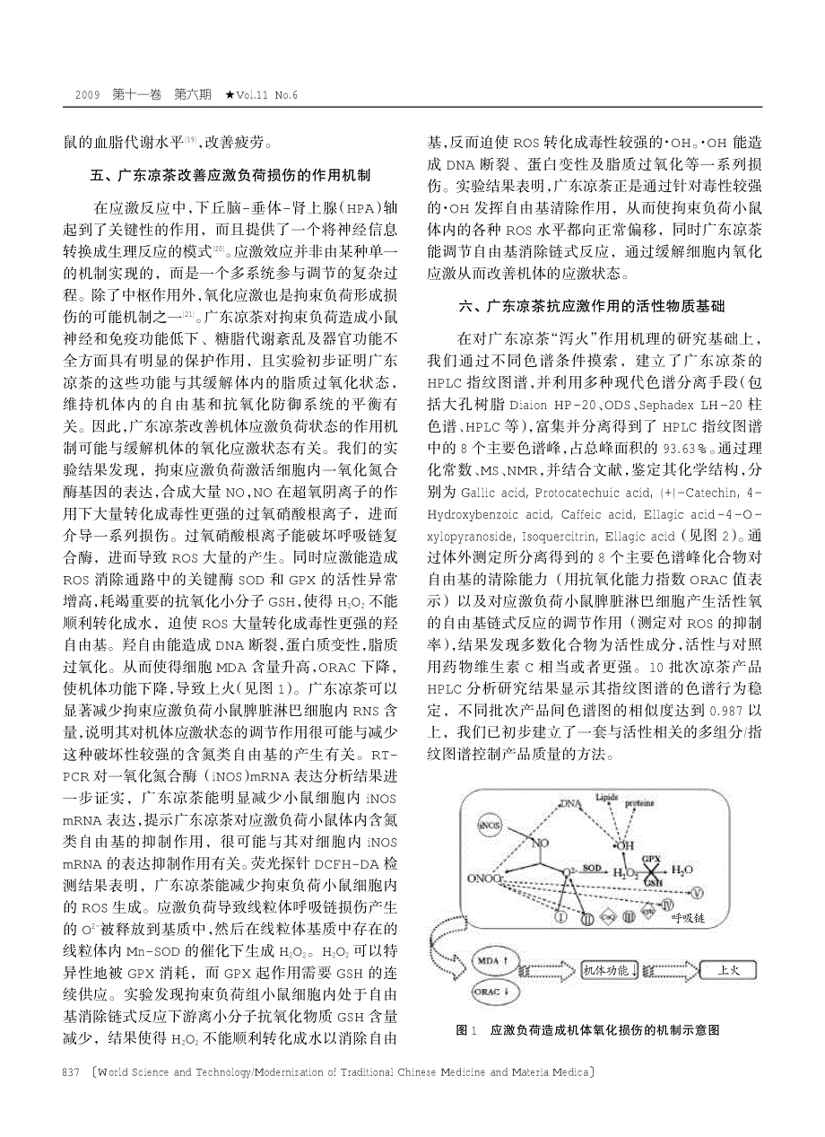 广东凉茶的泻火作用与物质基础研究_第4页