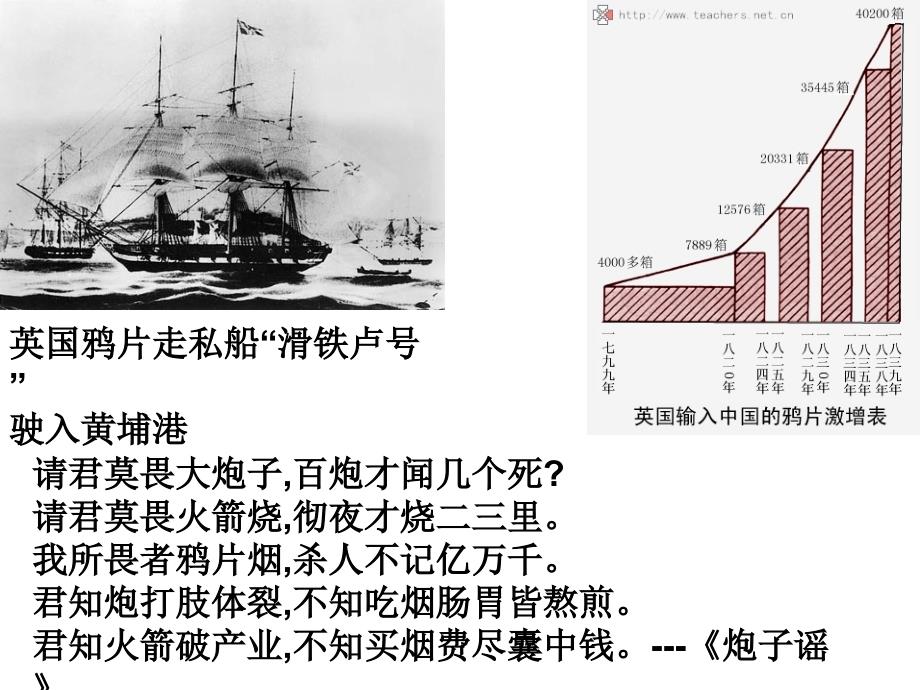 历史八年级上第1单元_第3页